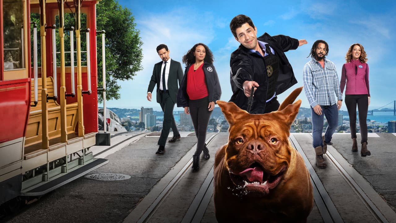 Turner & Hooch — backdrops 2