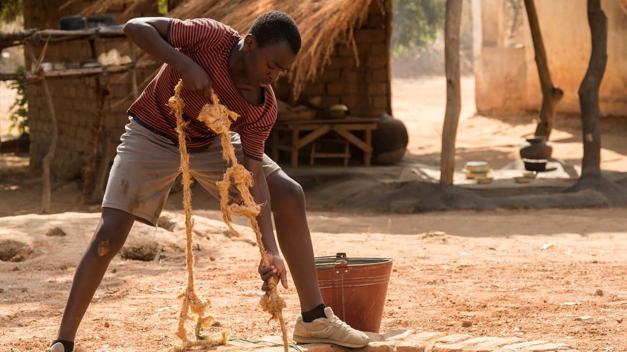 The Boy Who Harnessed the Wind — backdrops 3