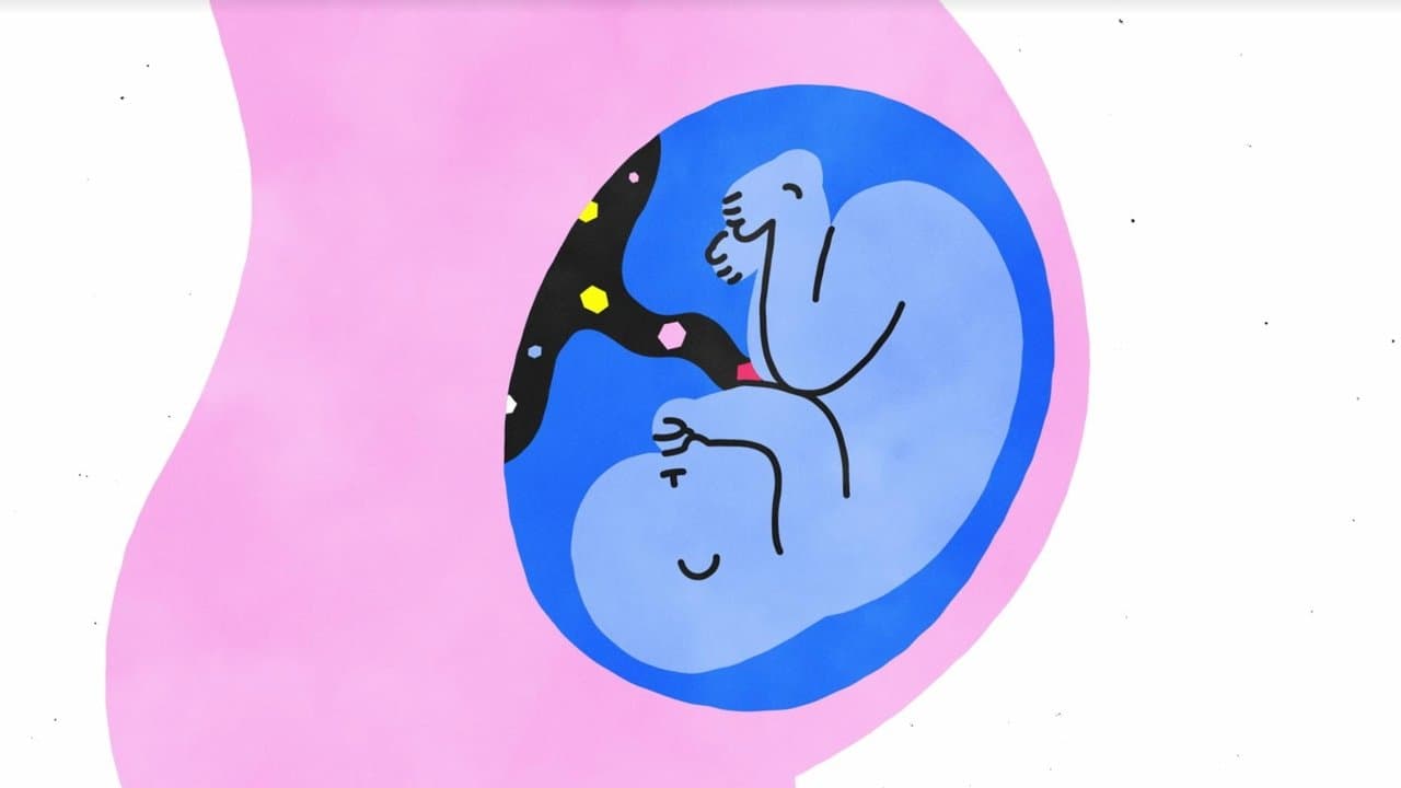 Sex, Explained — backdrops 1