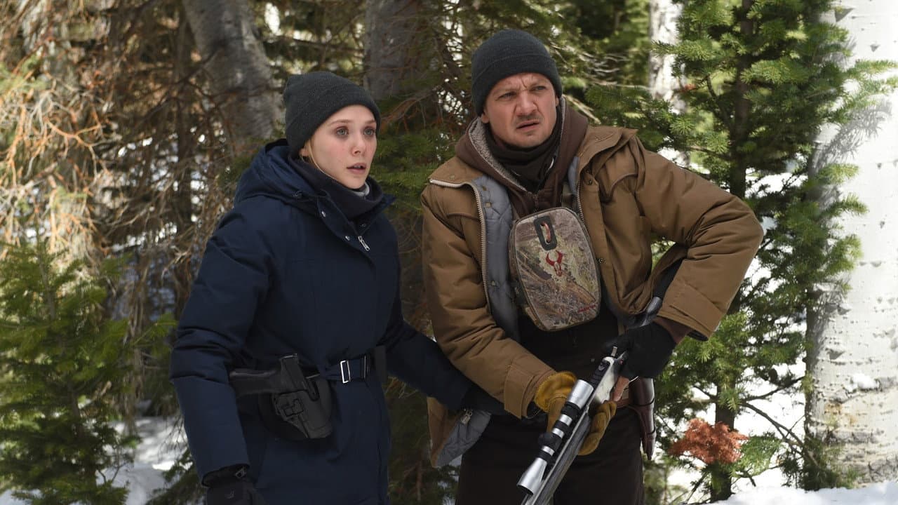 Wind River — backdrops 8
