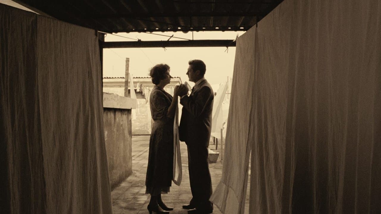 A Special Day — backdrops 3