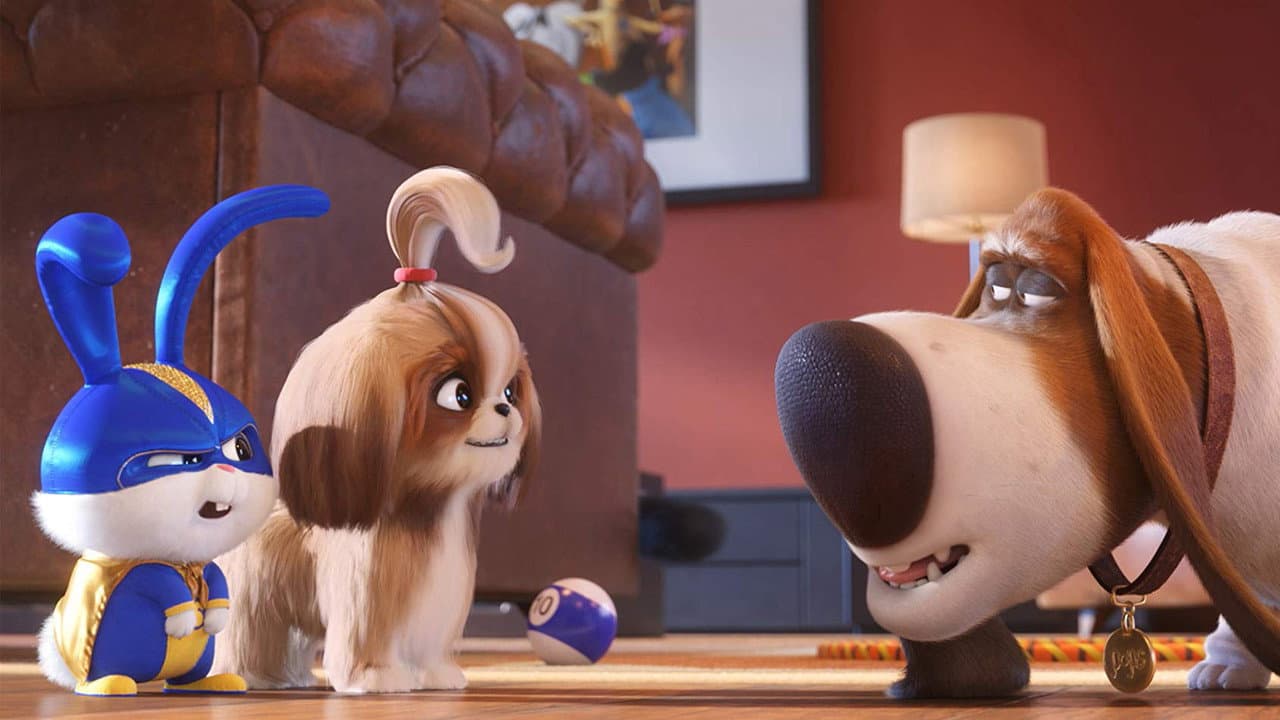 The Secret Life of Pets 2 — backdrops 4