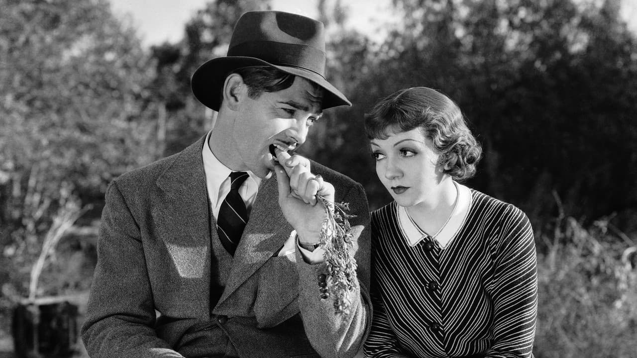 It Happened One Night — backdrops 3