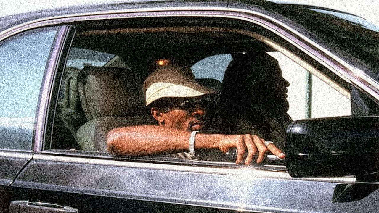 Shottas — backdrops 1