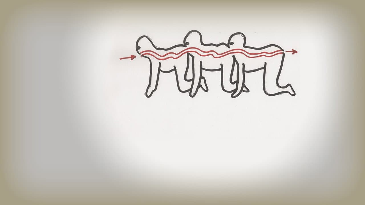 The Human Centipede (First Sequence) — backdrops 2