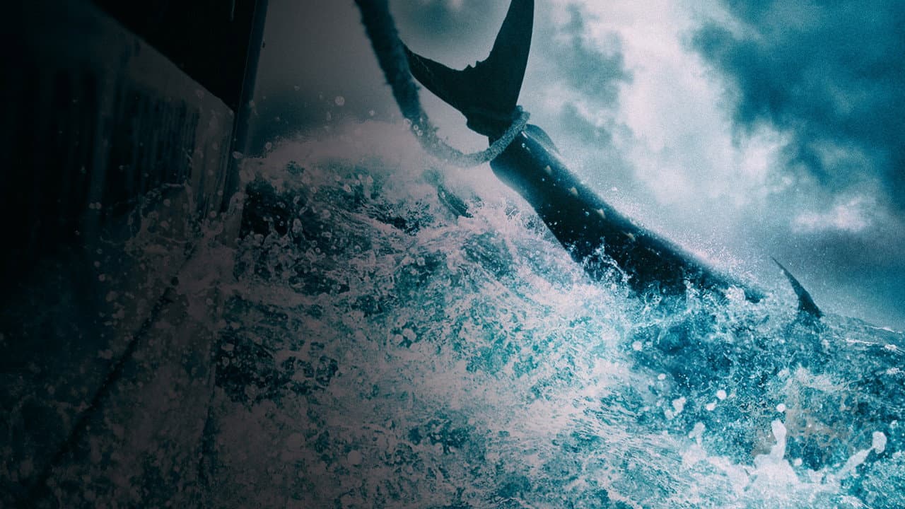 Wicked Tuna — backdrops 5