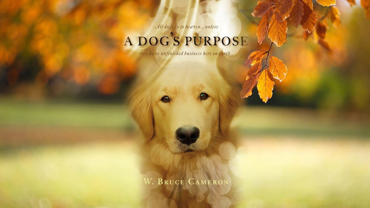 A Dog's Purpose — backdrops with title 4