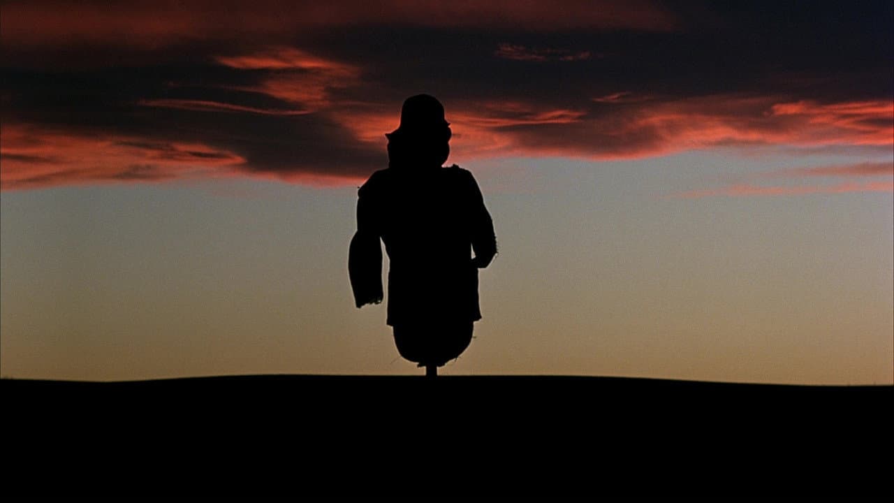 Days of Heaven — backdrops 1