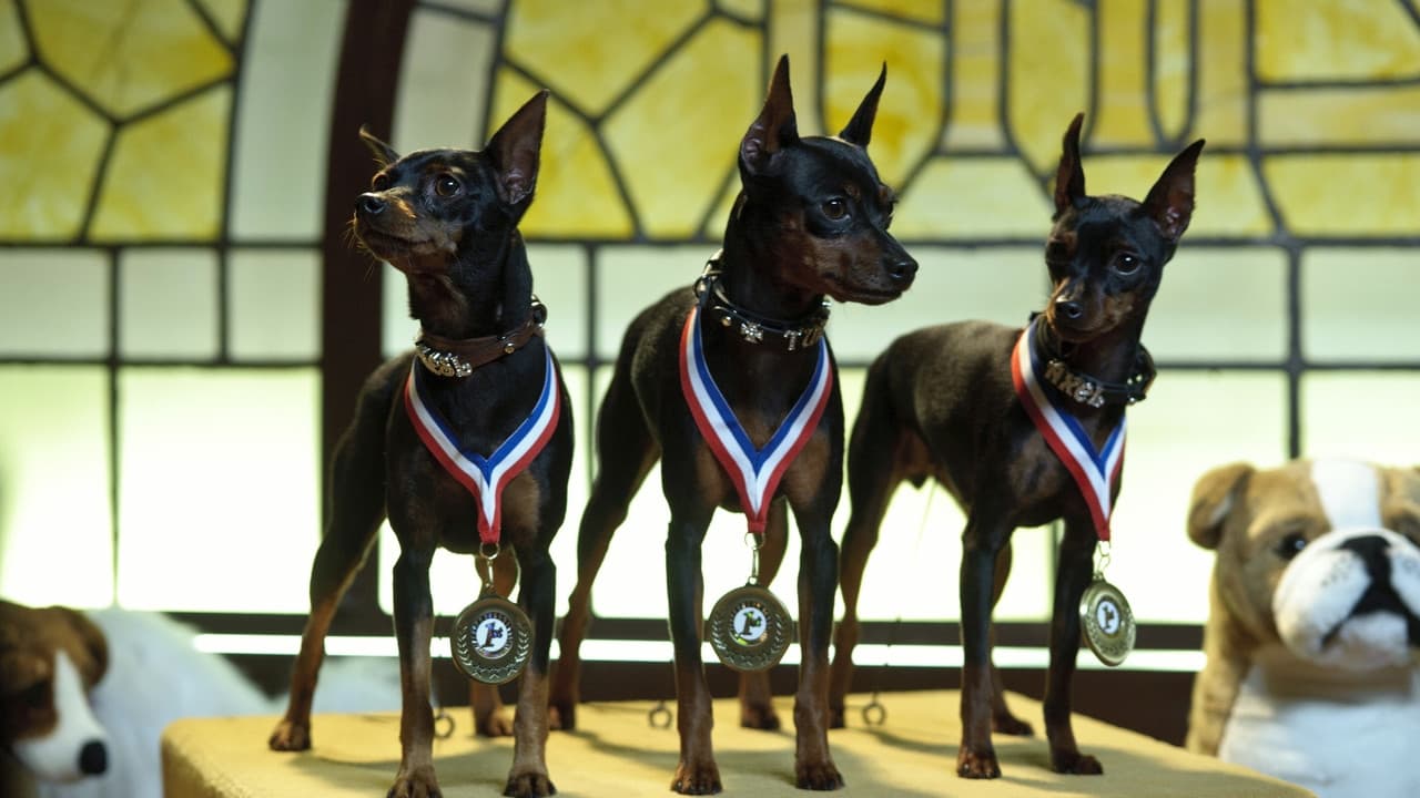 Marley & Me: The Puppy Years — backdrops 7