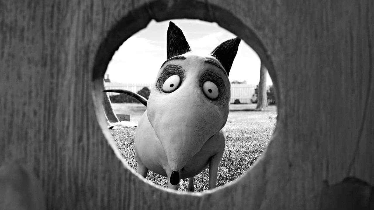 Frankenweenie — backdrops 4