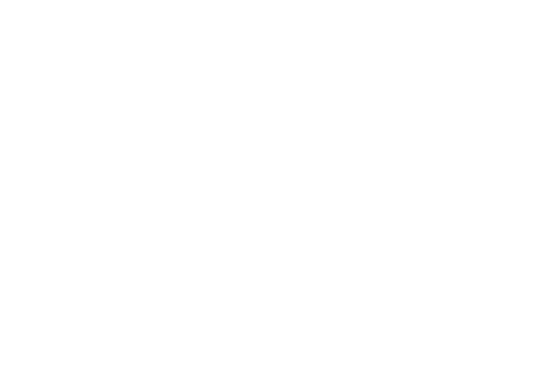 Silver Linings Playbook — logos 3