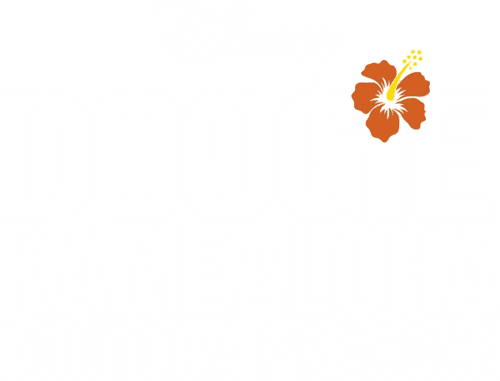 Doogie Kamealoha, M.D. — logos 4