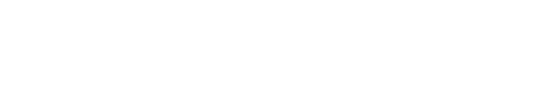 Lion — logos 4
