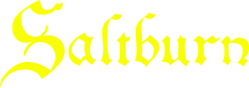 Saltburn — logos 5