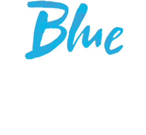 Blue Is the Warmest Color — logos 6