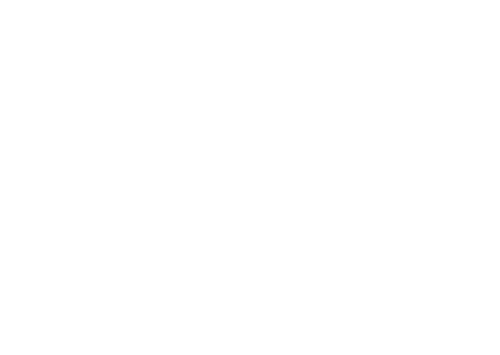 The Peanut Butter Falcon — logos 4