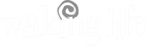 Waking Life — logos 2