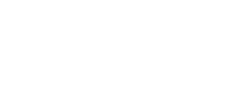 The Naked Gun: From the Files of Police Squad! — logos 7