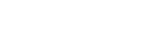 Reborn Rookie — logos 4