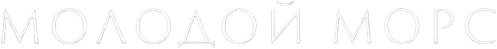 Endeavour — logos 2