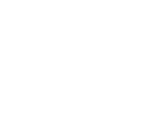 Fight or Flight — logos 7