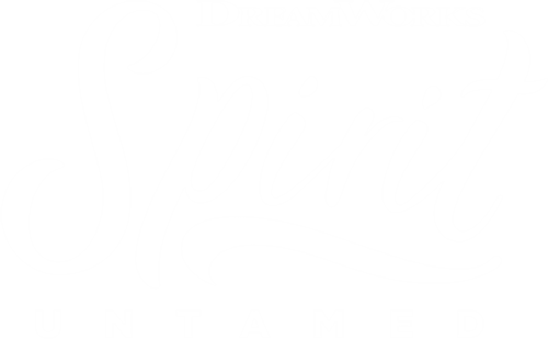 Spirit Untamed — logos 5