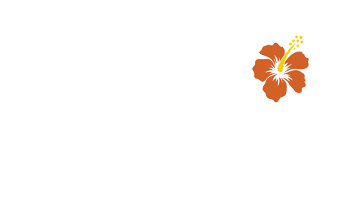 Doogie Kamealoha, M.D. — logos 2