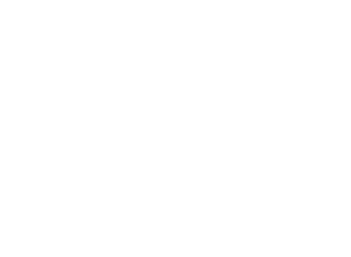For the Birds — logos 2