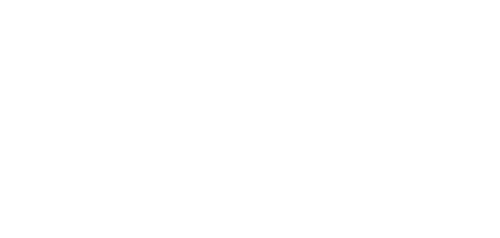 Bull — logos 2