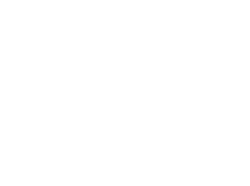 Bridget Jones's Baby — logos 6