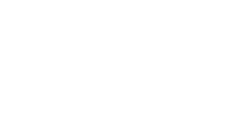 Salt — logos 4