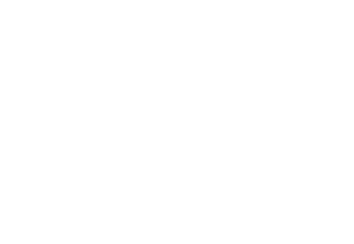 The Lion King — logos 8
