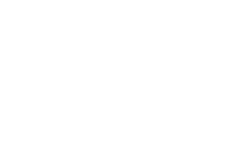 Only the Brave