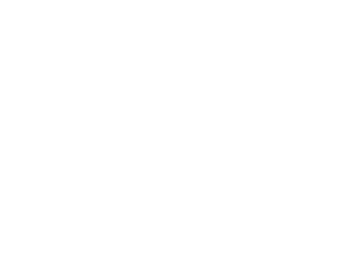 Ray — logos 2