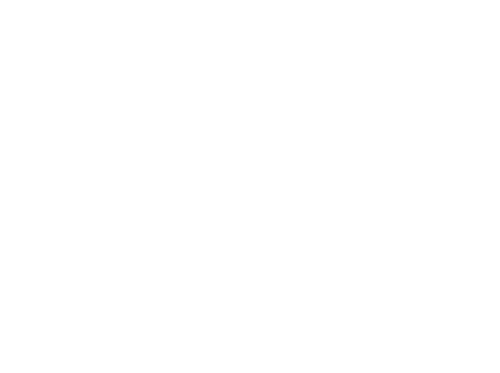 Bridget Jones's Baby — logos 5