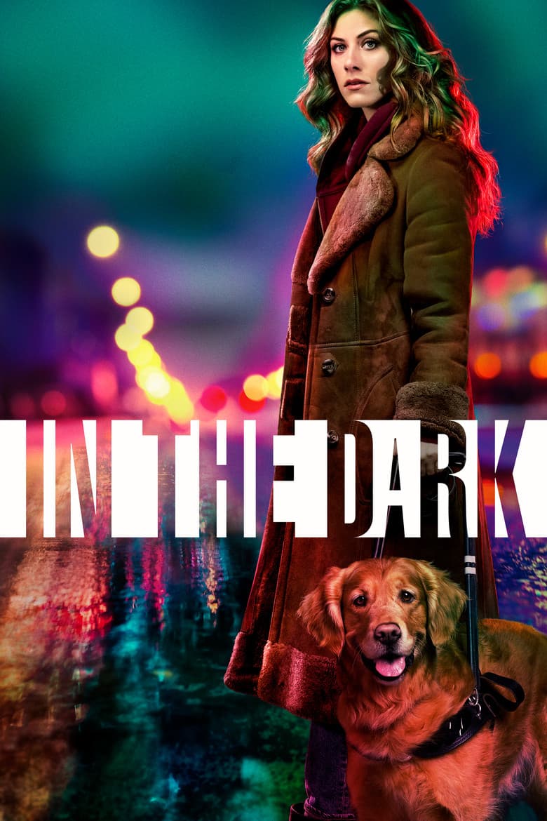 In the Dark — posters 3