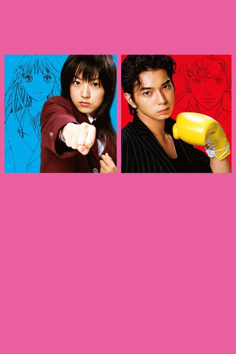 BOYS OVER FLOWERS — posters 2