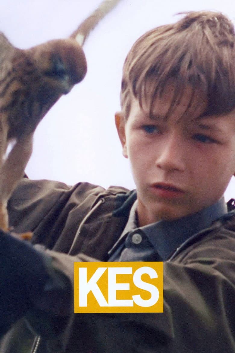 Kes — posters 6