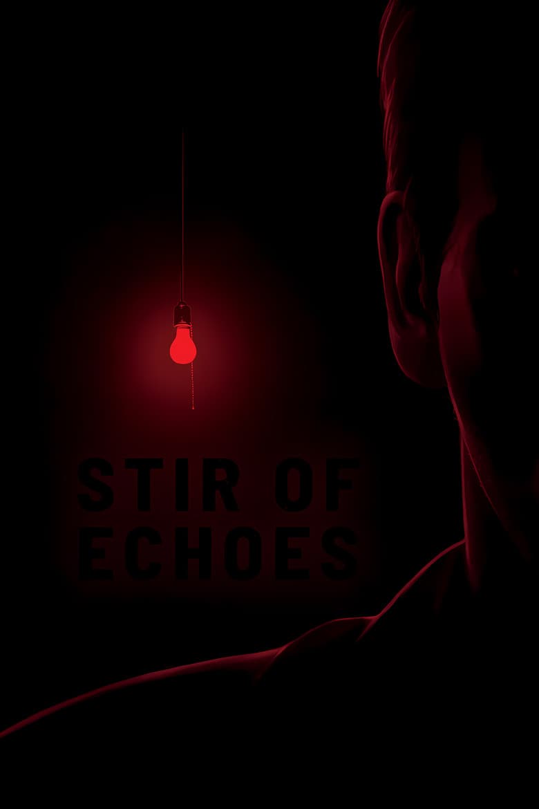 Stir of Echoes — posters 8