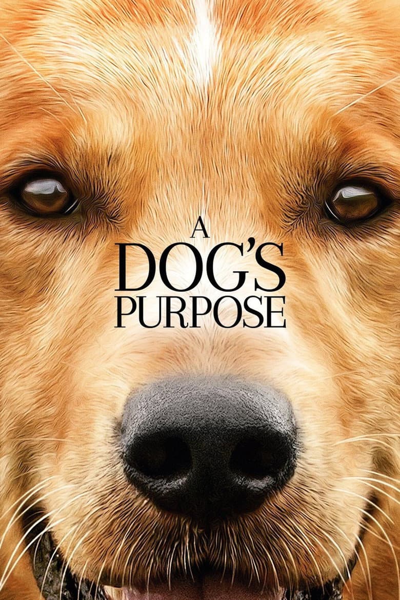 A Dog's Purpose — posters 4