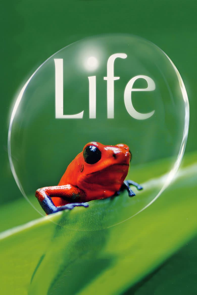 Life — posters 2