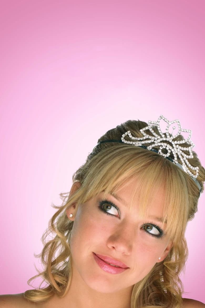 A Cinderella Story — posters 8