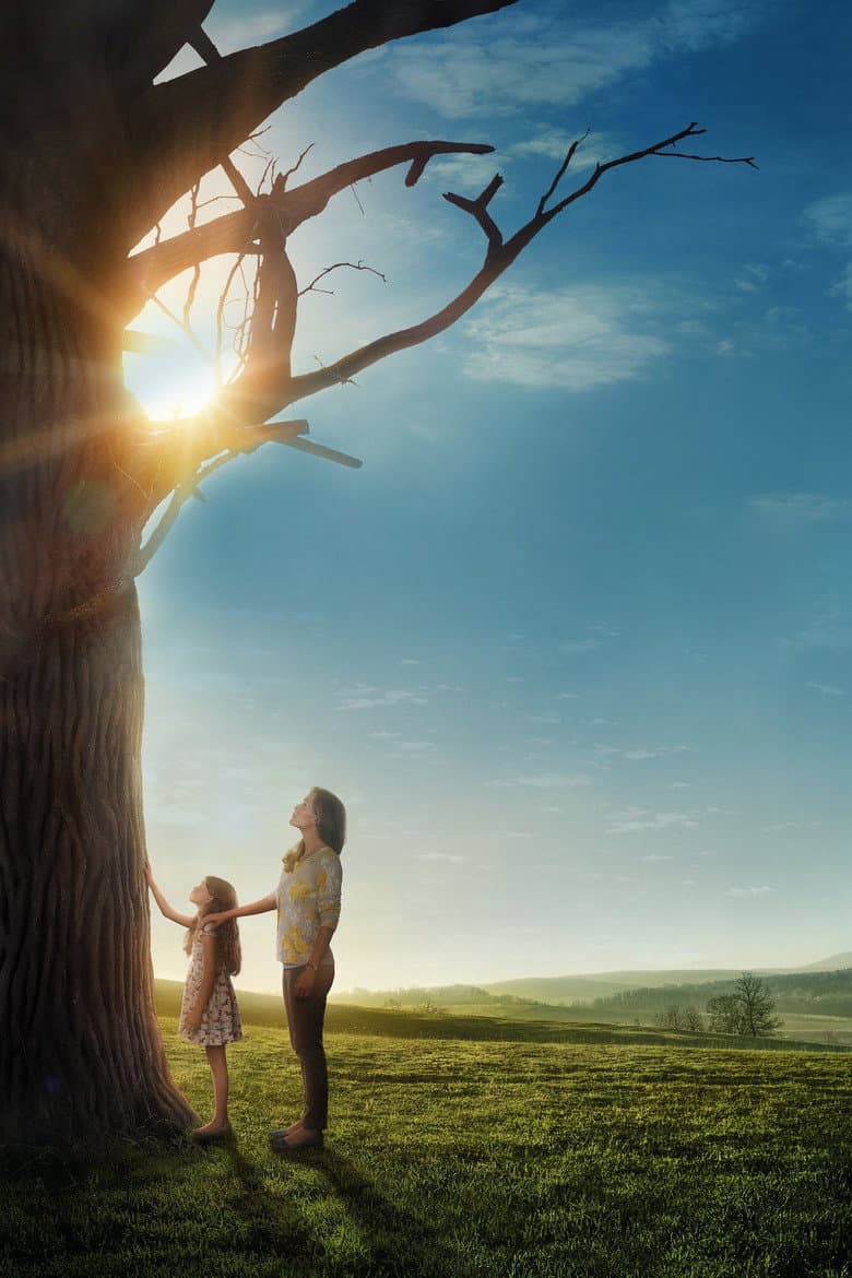 Miracles from Heaven — posters 4