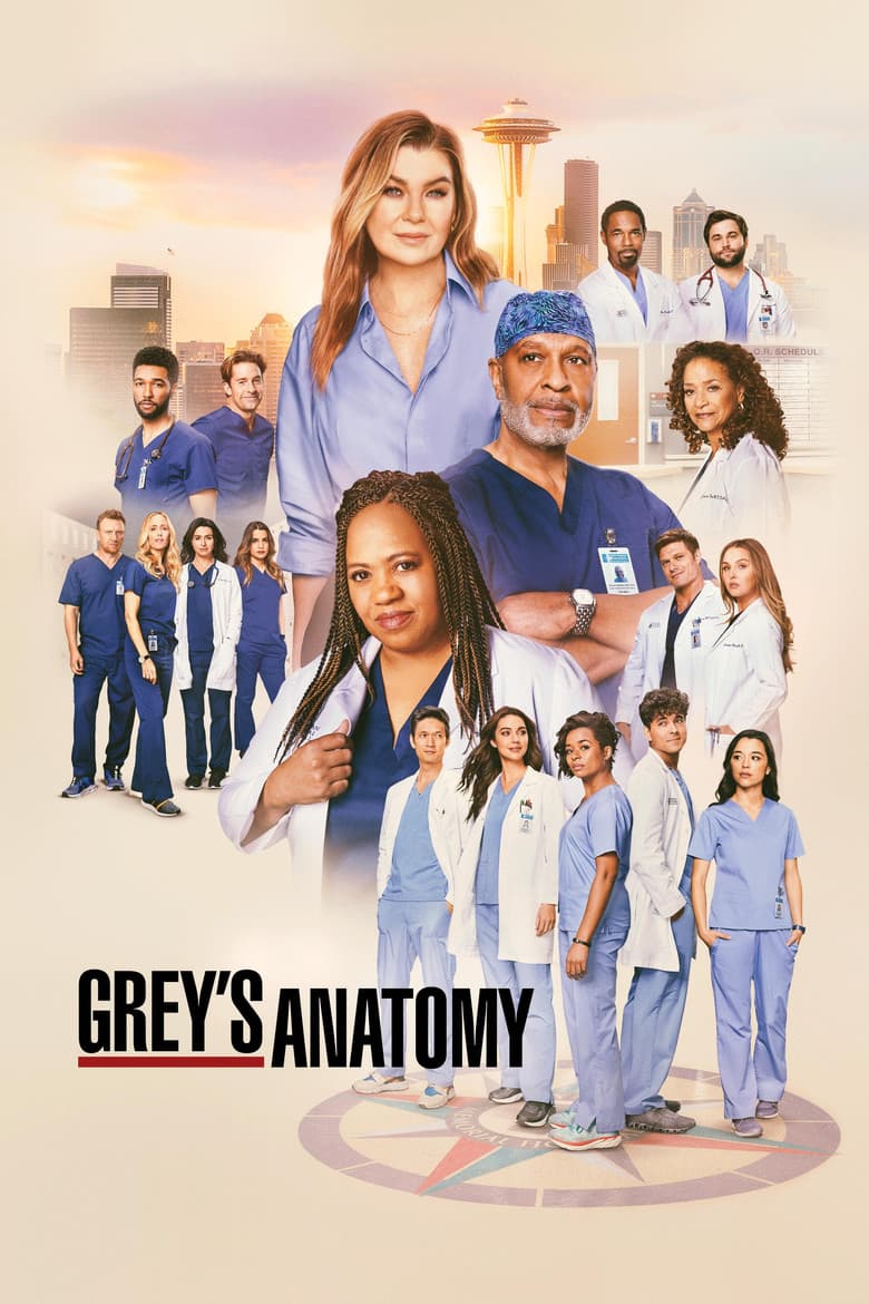 Grey's Anatomy — posters 5