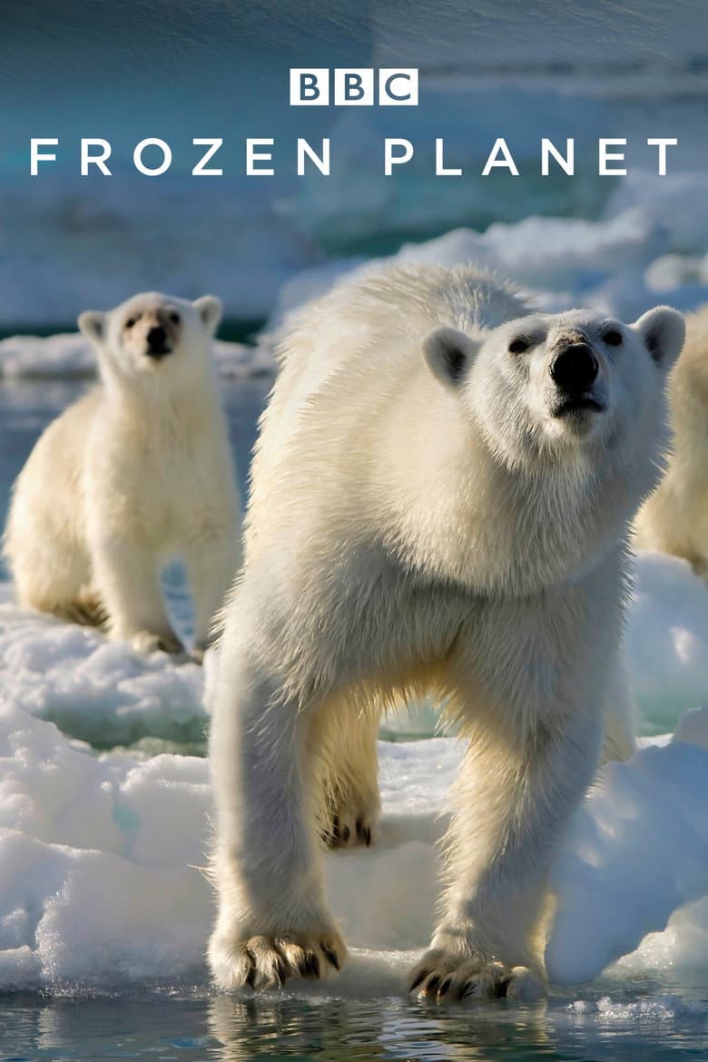 Frozen Planet — posters 3