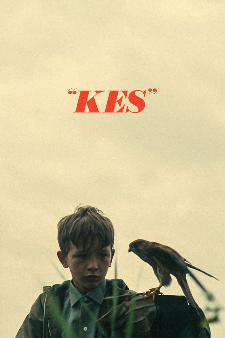 Kes — posters 8