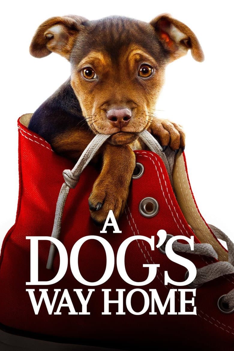 A Dog's Way Home — posters 5