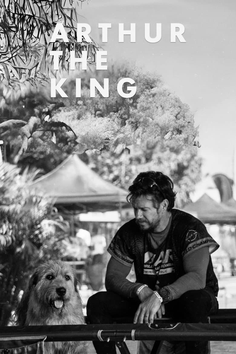 Arthur the King — posters 5