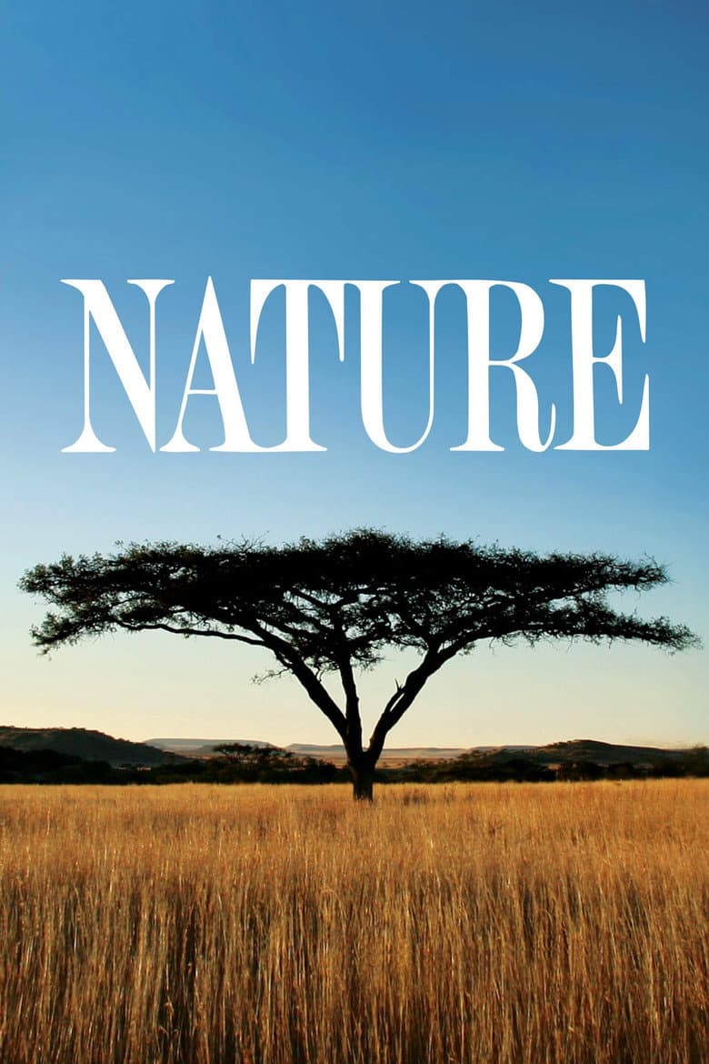 Nature — posters 3