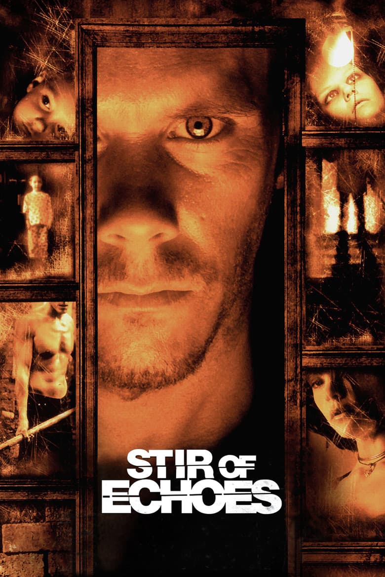 Stir of Echoes — posters 3